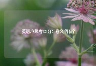 英语六级考424分：意义何在？