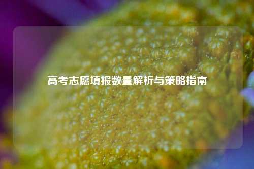 高考志愿填报数量解析与策略指南