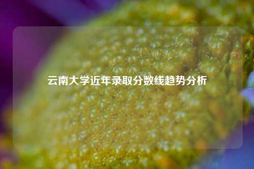 云南大学近年录取分数线趋势分析